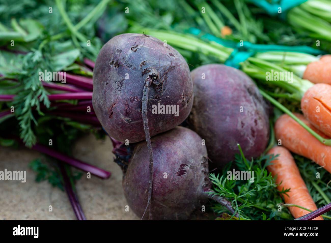 Rote Beete und Karotten zum Verkauf an einem Bauernmarktstand Stockfoto
