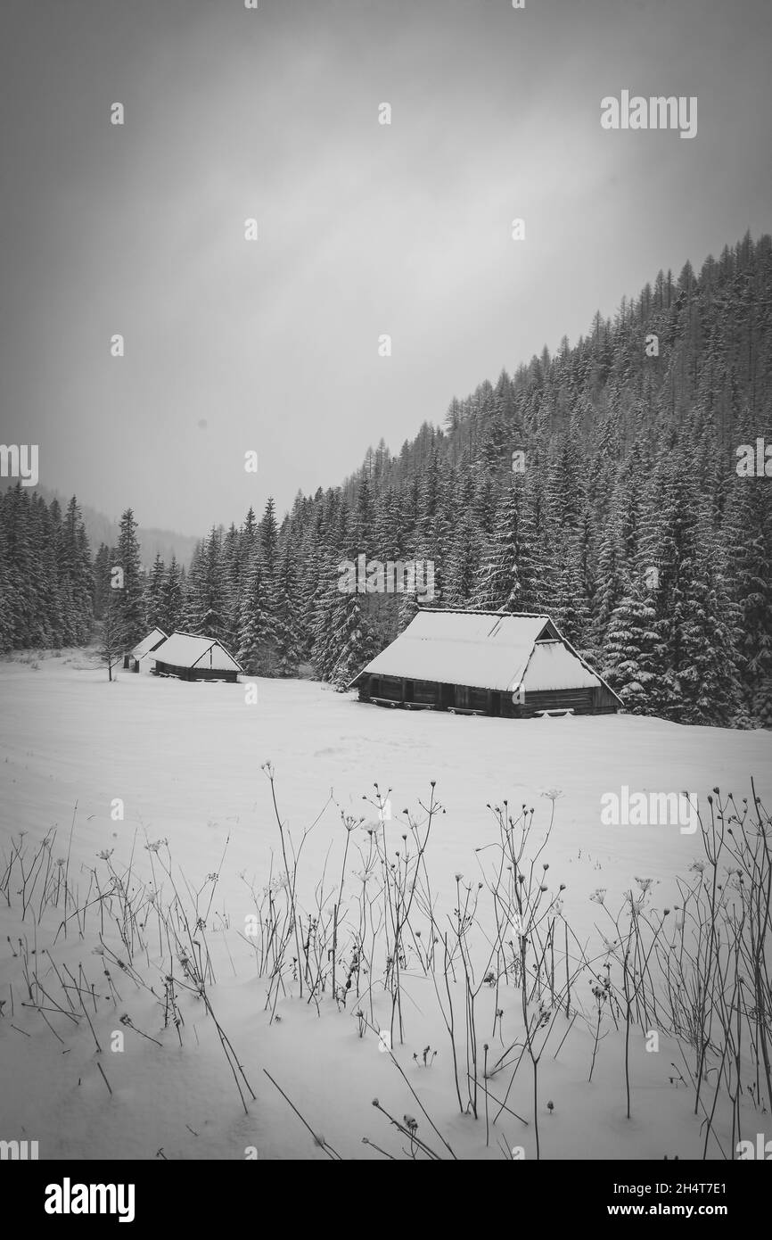 Vertikale Graustufenaufnahme von Winter und schneebedeckten Bergen und Häusern Stockfoto