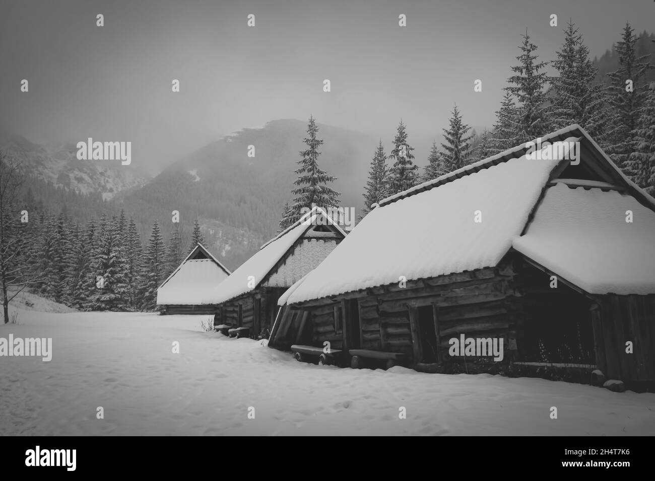 Wunderschöne Graustufenansicht des Winters und schneebedeckter Berge und Häuser Stockfoto