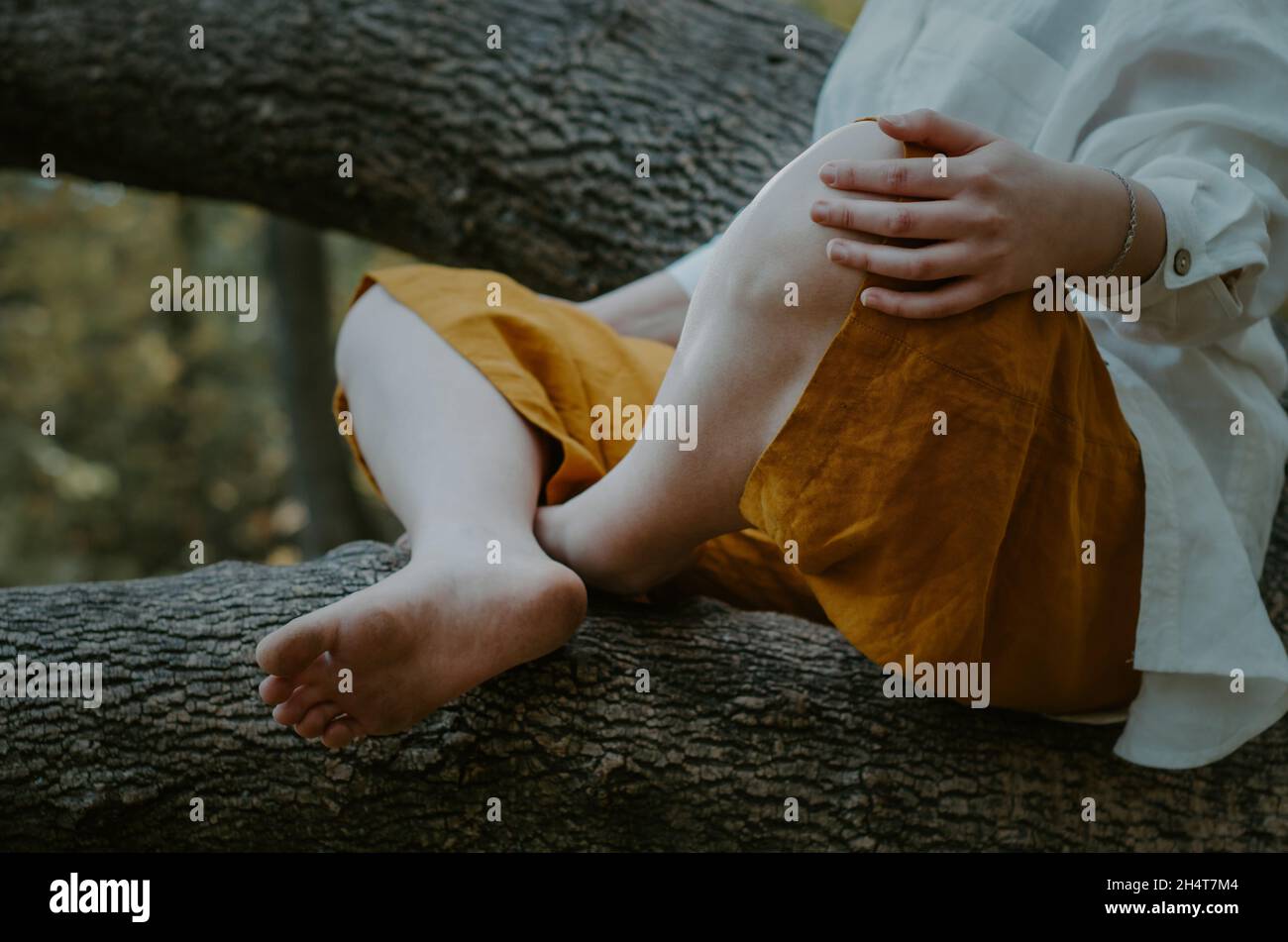 Unterer Abschnitt der Person, die in Meditation mit gekreuzten Beinen und barfuß auf einem umgestürzten Baum sitzt. Konzept: Verbindung mit der Natur Stockfoto