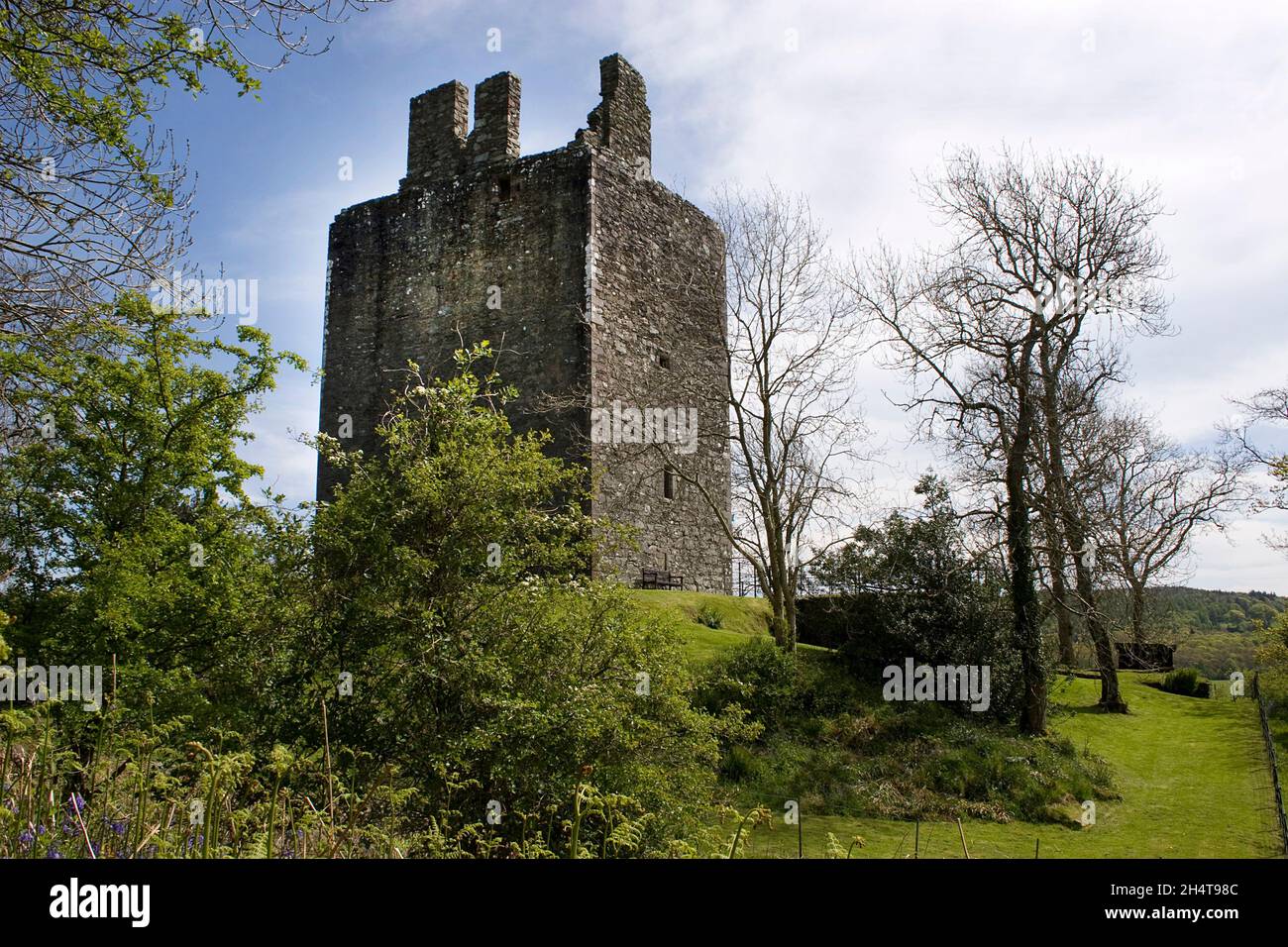 Cardoness Castle, Gatehouse of Fleet, Dumfries & Galloway, Schottland Stockfoto
