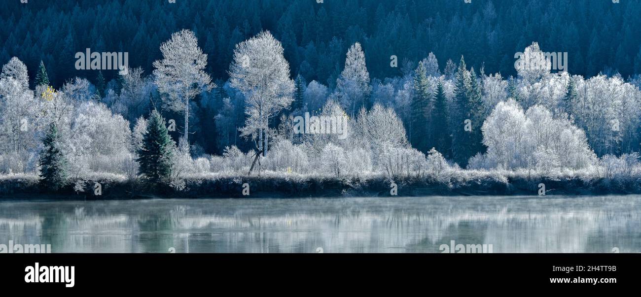 Raureif auf Bäumen, North Thompson River, British Columbia, Kanada Stockfoto