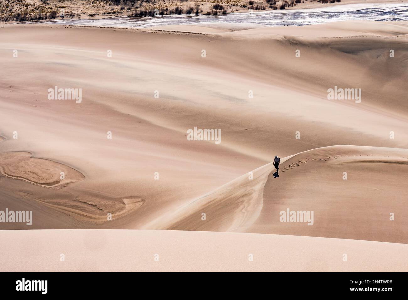 Mosca, CO - 24. April 2021: Ein einsamer Wanderer spaziert allein durch die Dünen im Great Sand Dunes National Park Stockfoto