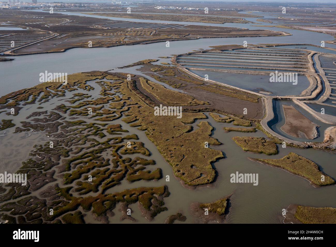Luftaufnahme auf Sümpfen und Salinen, Naturpark Bahia de Caliz. Costa de la Luz, Provinz Cádiz, Andalusien, Spanien Stockfoto