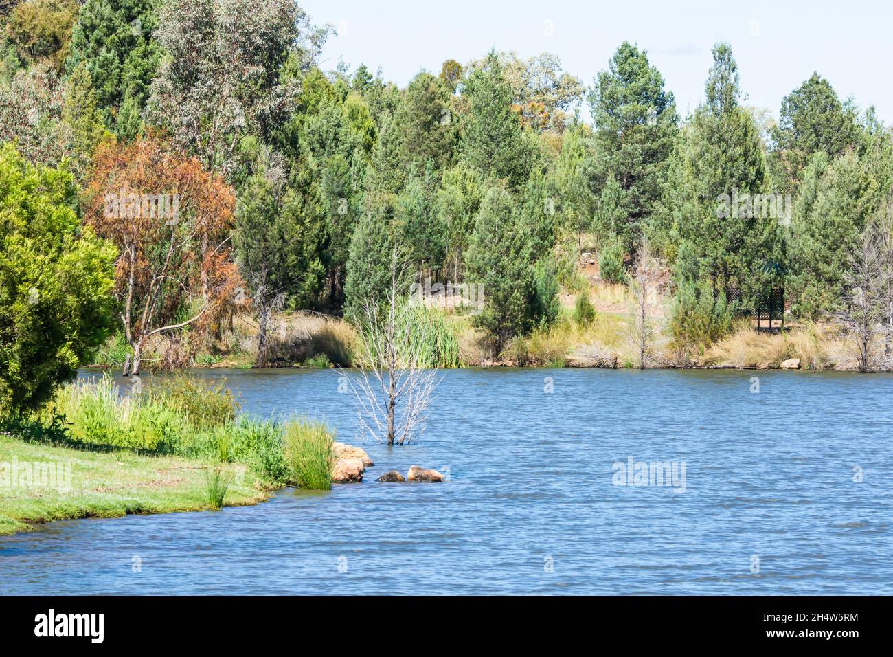 Eine ruhige Ecke des Quipolly Dam, NSW Australien. Stockfoto