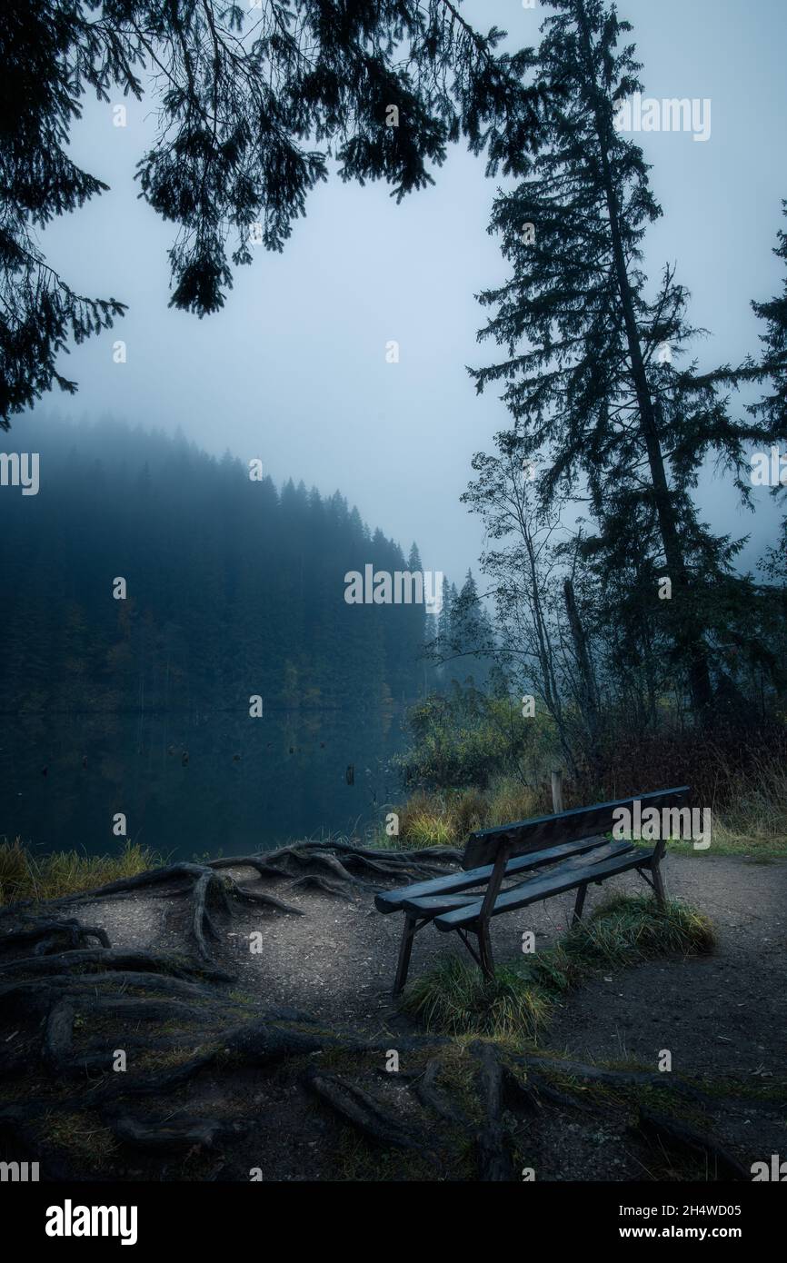 Bank am Ufer oder Red Lake Lacul Rosu in Rumänien von Touristen genutzt, um mit Blick über den See an einem düsteren nebligen Tag ruhen Stockfoto