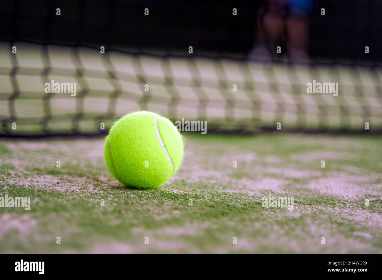 Tennisball auf dem Platz Nahaufnahme mit Netz im Hintergrund. Hochwertige Fotos Stockfoto