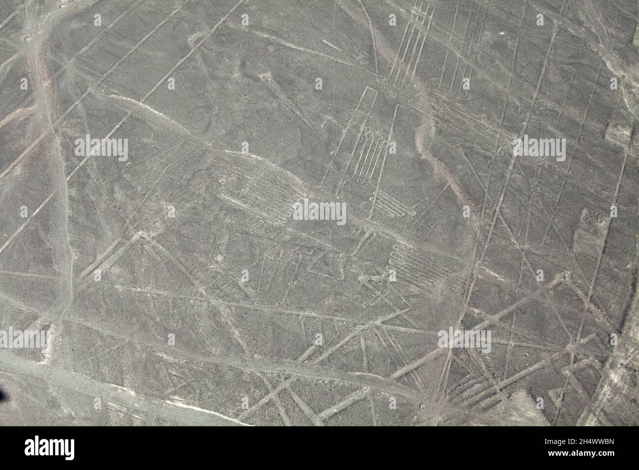 Fregatte Bird, Nazca Lines, (alte Geoglyphen und Weltkulturerbe) in der Wüste in der Nähe von Nazca, Region Ica, Peru, Südamerika Stockfoto