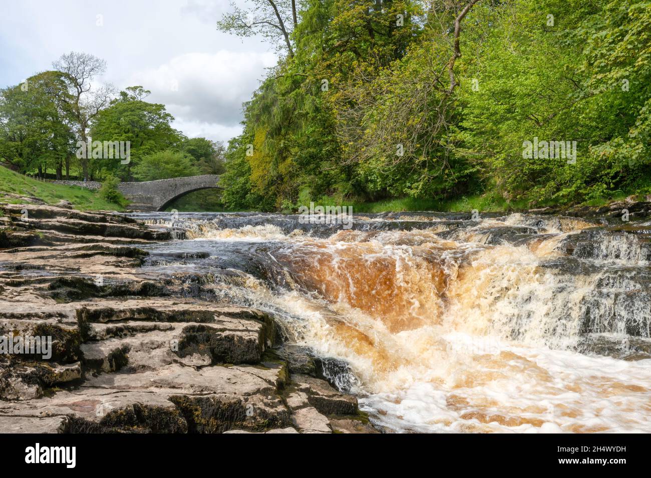 Blick auf Stainforth Force in den Yorkshire Dales Stockfoto