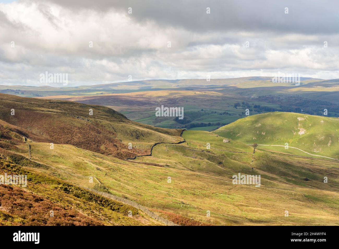 Blick über Thorpe fiel auf Threshfield Moor in den Yorkshire Dales Stockfoto