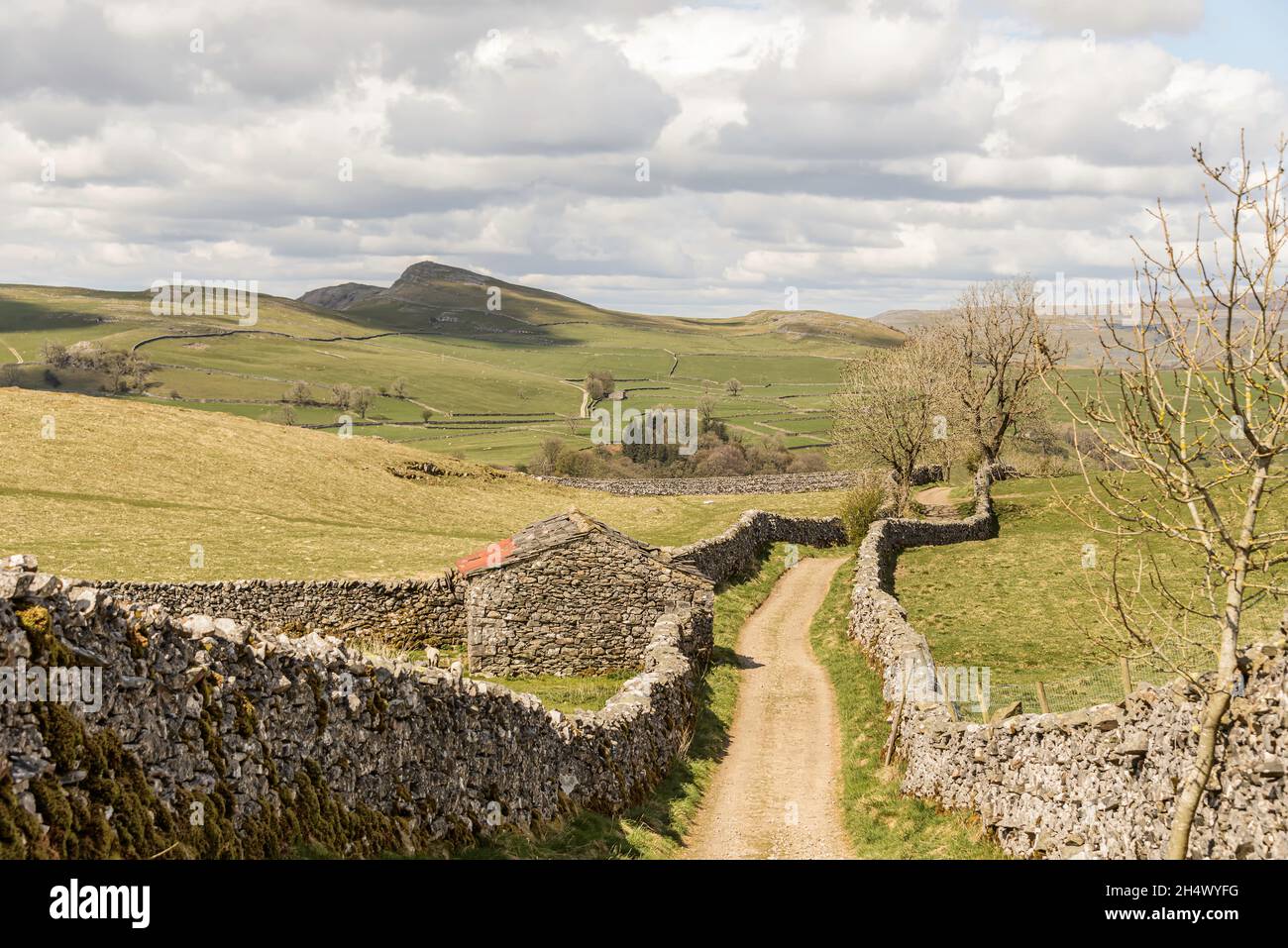 Blick in Richtung Stainforth in den Yorkshire Dales Stockfoto