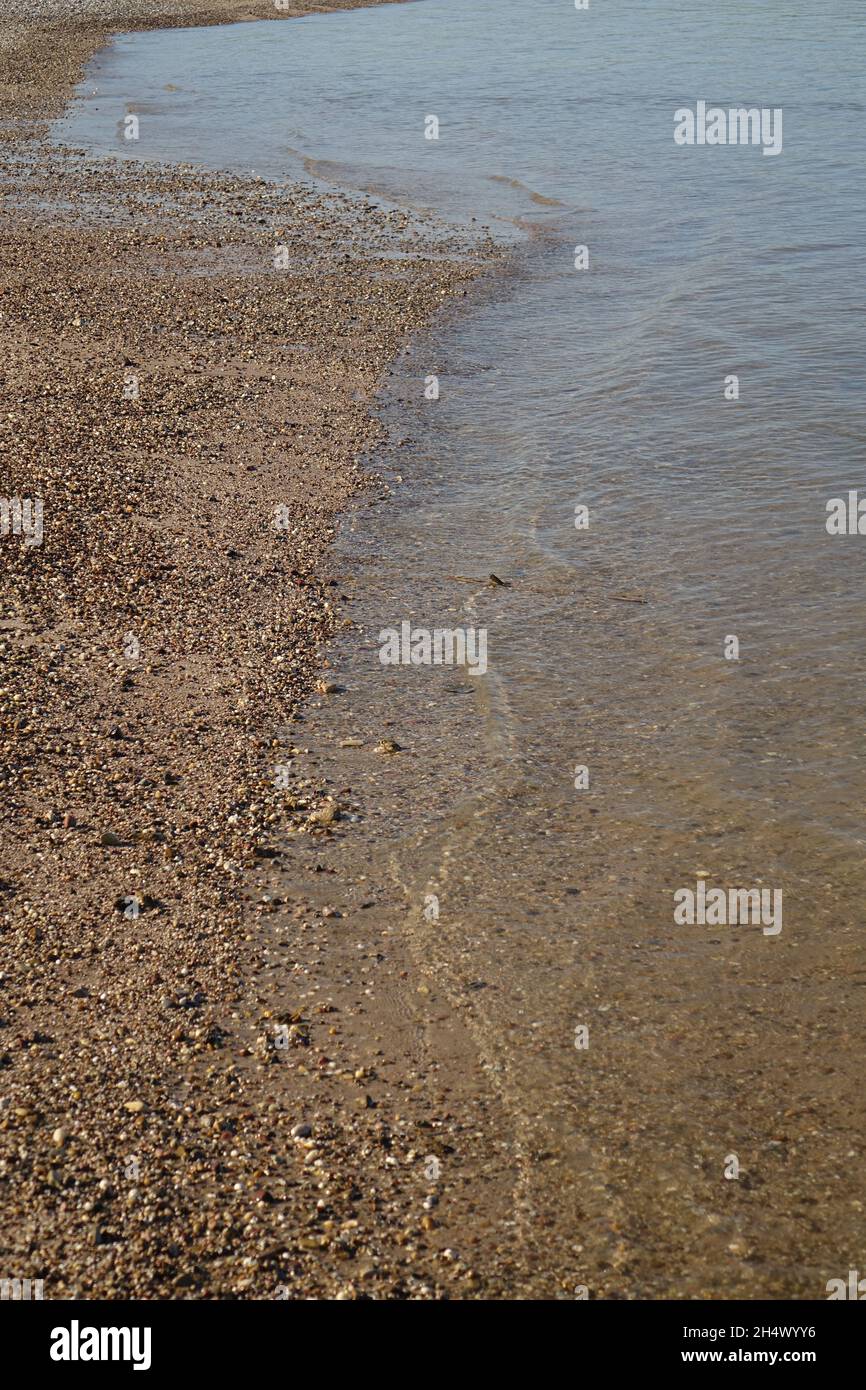 Kiesstrand mit Sand und Muscheln am Rhein an einem sonnigen Herbsttag, Oppenheim, Rheinland-Pfalz, Deutschland Stockfoto