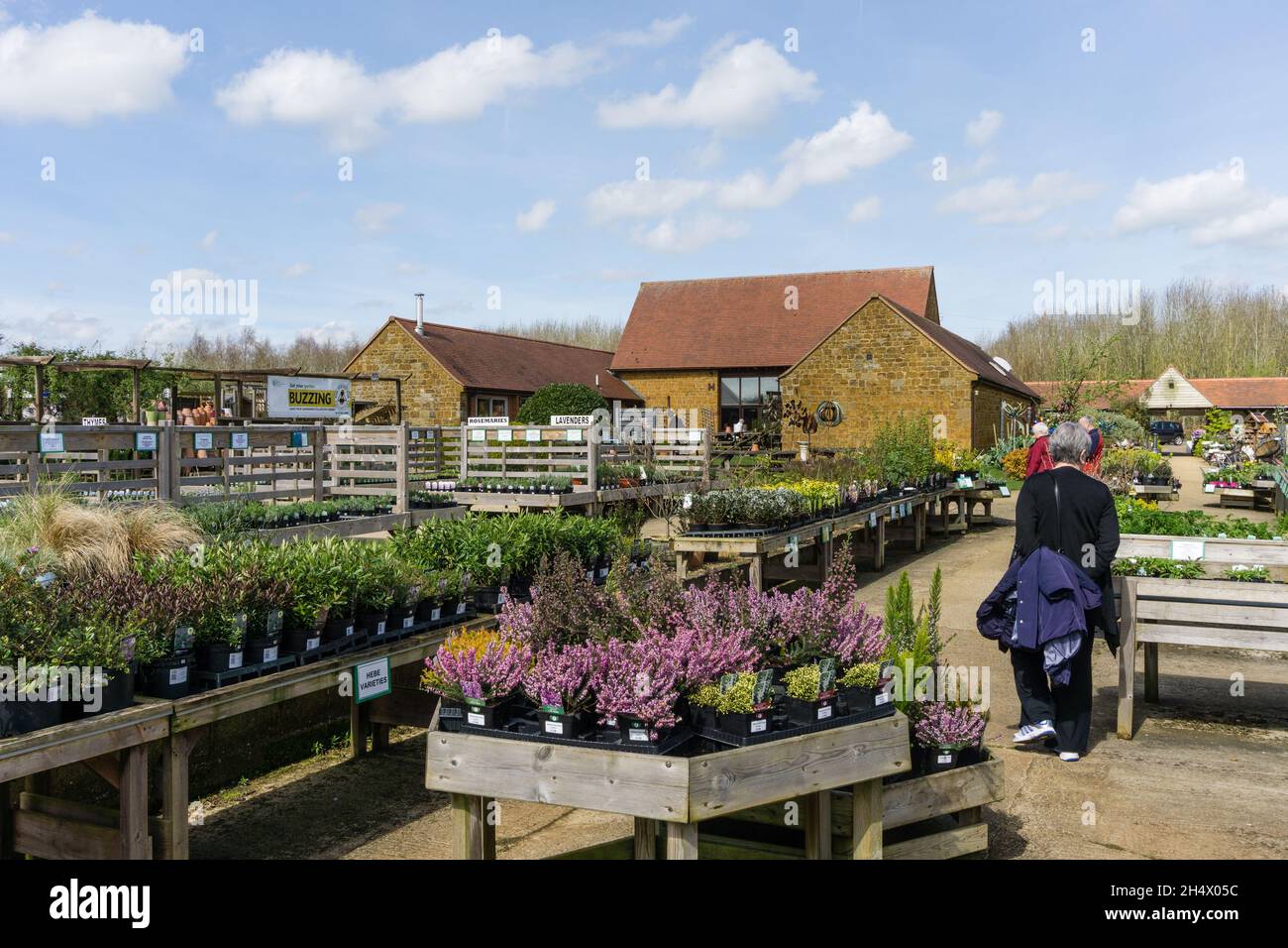 Das National Herb Centre, ein Herbarium und Gartencenter, Warmington, Warwickshire, Großbritannien Stockfoto