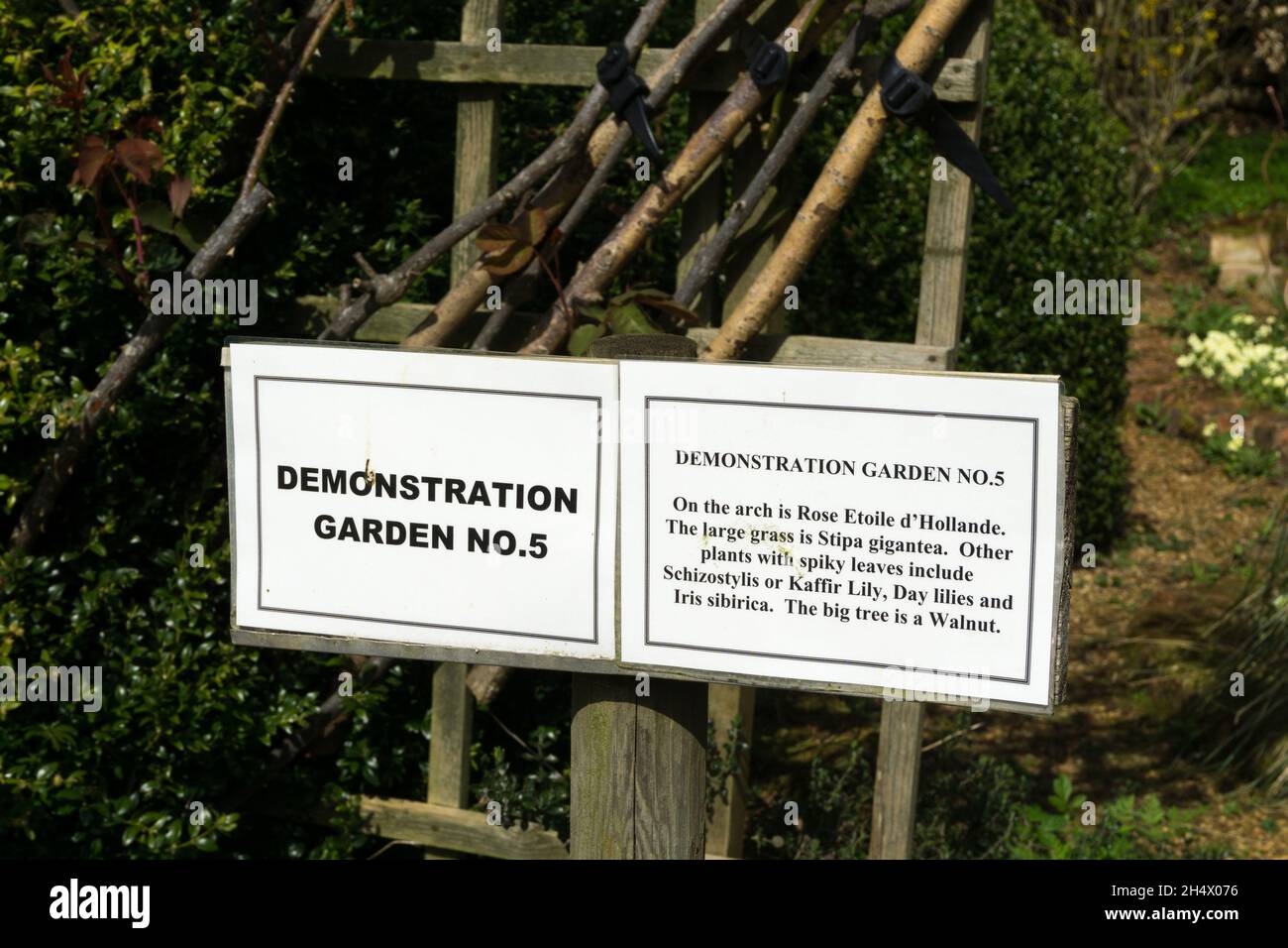 Das National Herb Centre, ein Herbarium und Gartencenter, Warmington, Warwickshire, Großbritannien Stockfoto