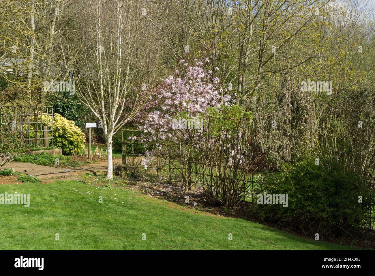 Demonstrationsgarten im National Herb Centre, einem Herbarium und Gartencenter, Warmington, Warwickshire, Großbritannien Stockfoto