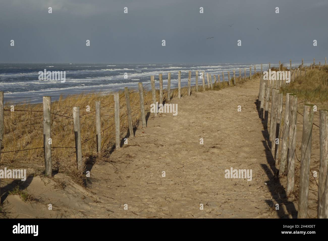 Eingezäunt in sandigen Dünenpfad an einem Nordseestrand mit rollenden Wellen an einem sonnigen stürmischen Wintermorgen, Egmond aan Zee, Nordholland, Niederlande Stockfoto