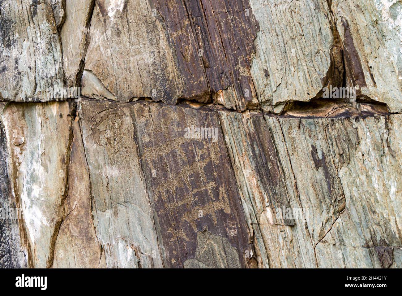 Petroglyphen, die von der alten Kultur erzählen, die die Tierhaltung der Bronzezeit oder der skythischen Periode bestätigt, selektiver Fokus Stockfoto