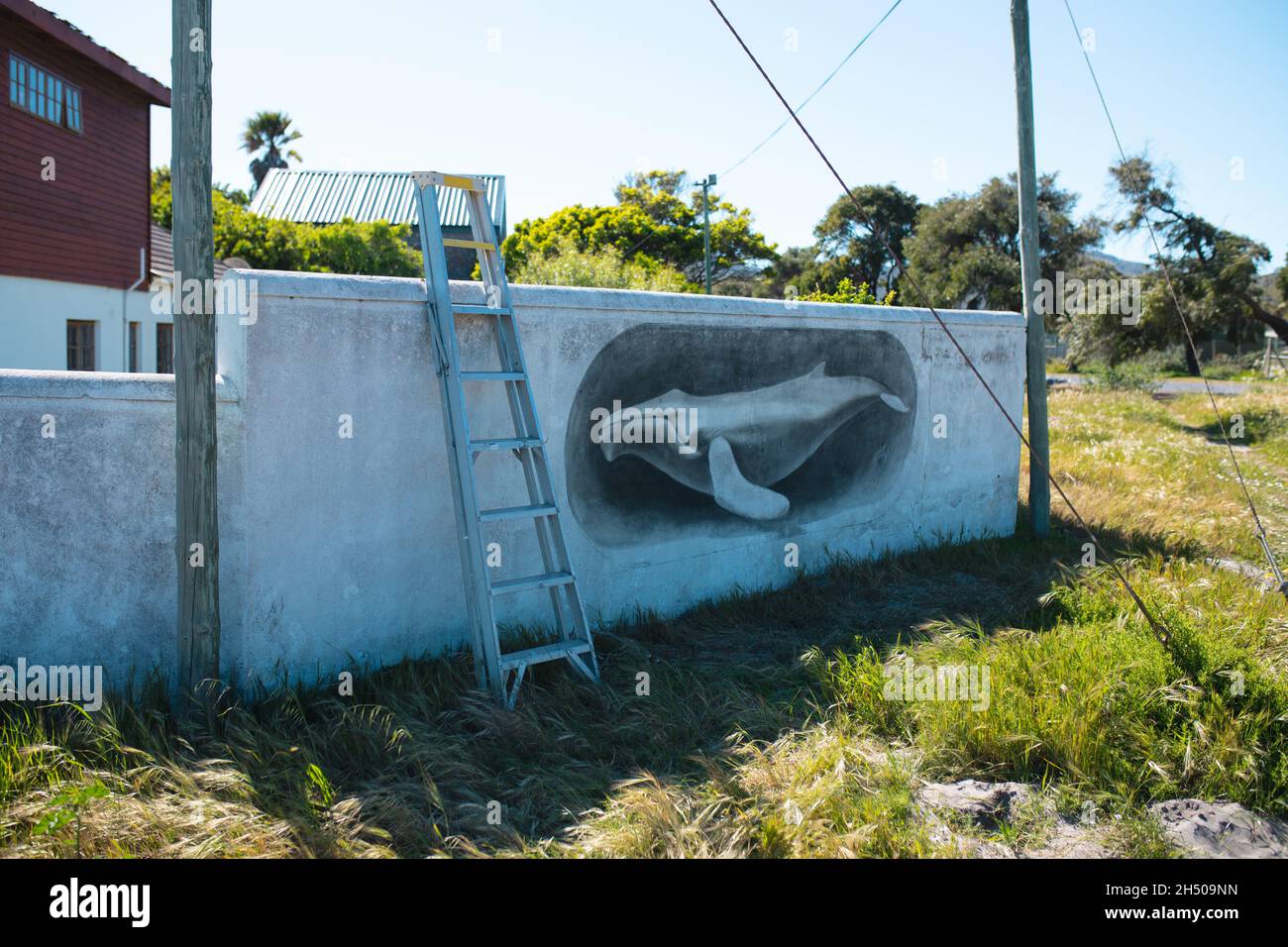 Leiter an der Wand mit kreativer Walmalerei an sonnigen Tagen gelehnt Stockfoto