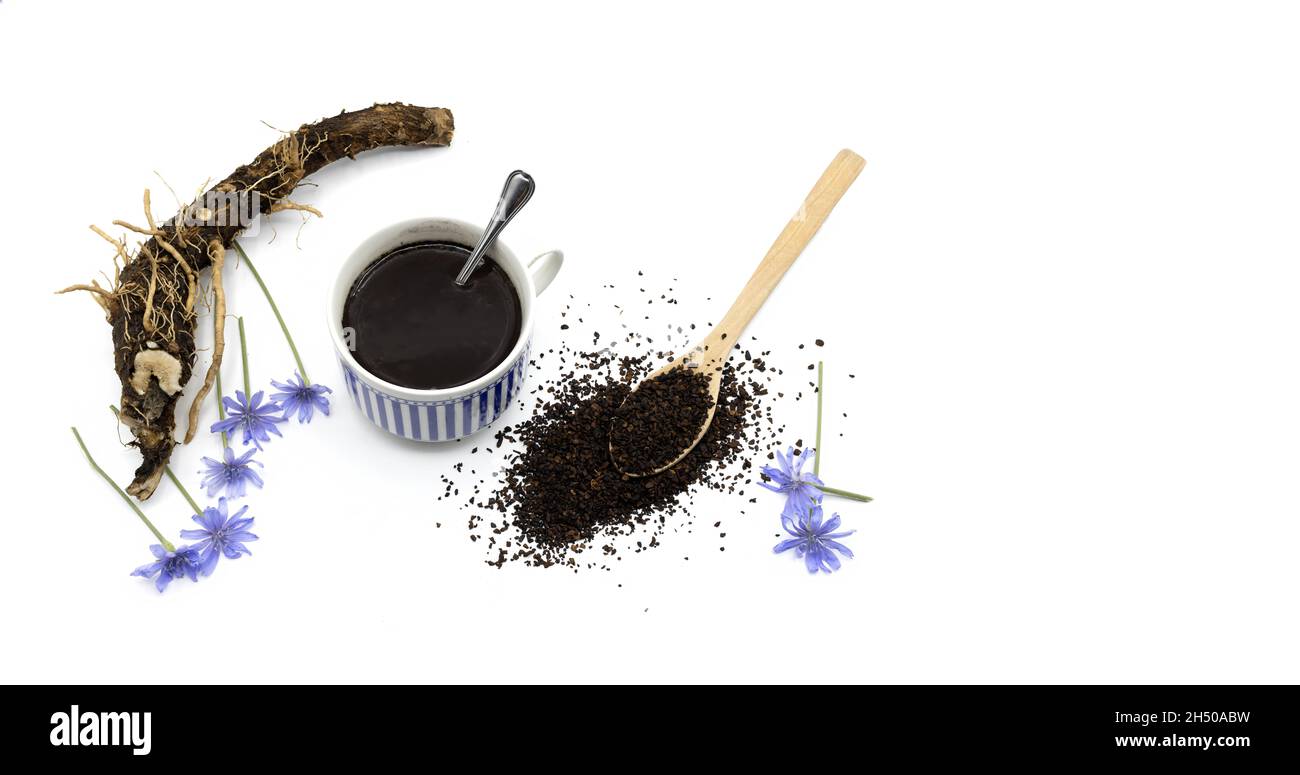 Gesundes Getränk ohne Koffein, Ersatz für Kaffee. Infusion der Wurzel der Zichorien-Pflanze, der Wurzel, der Infusion und der Blüten der Pflanze Stockfoto