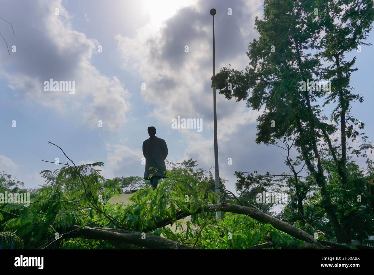 Kalkutta, Westbengalen, Indien-23. May 2020 : Super-Zyklon Amphan entwurzelter Baum, der fiel und den Zugang zur Statue von Pandit Nehru in der Park Street blockierte. Stockfoto