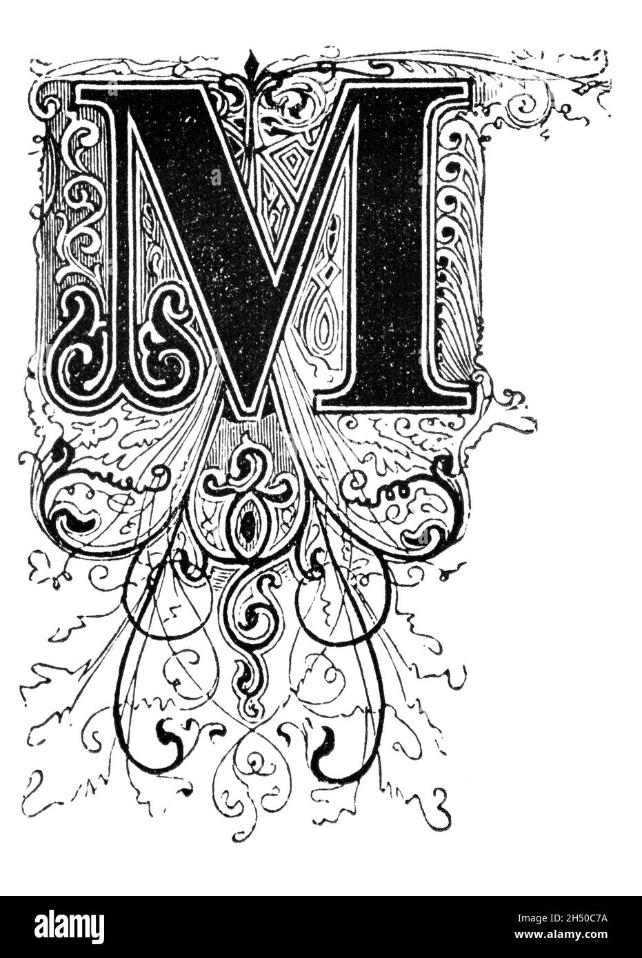 Großer dekorativer verzierter Buchstabe M, mit Blumenverzierung oder Ornament. Antike Vintage-Zeichnung Stockfoto
