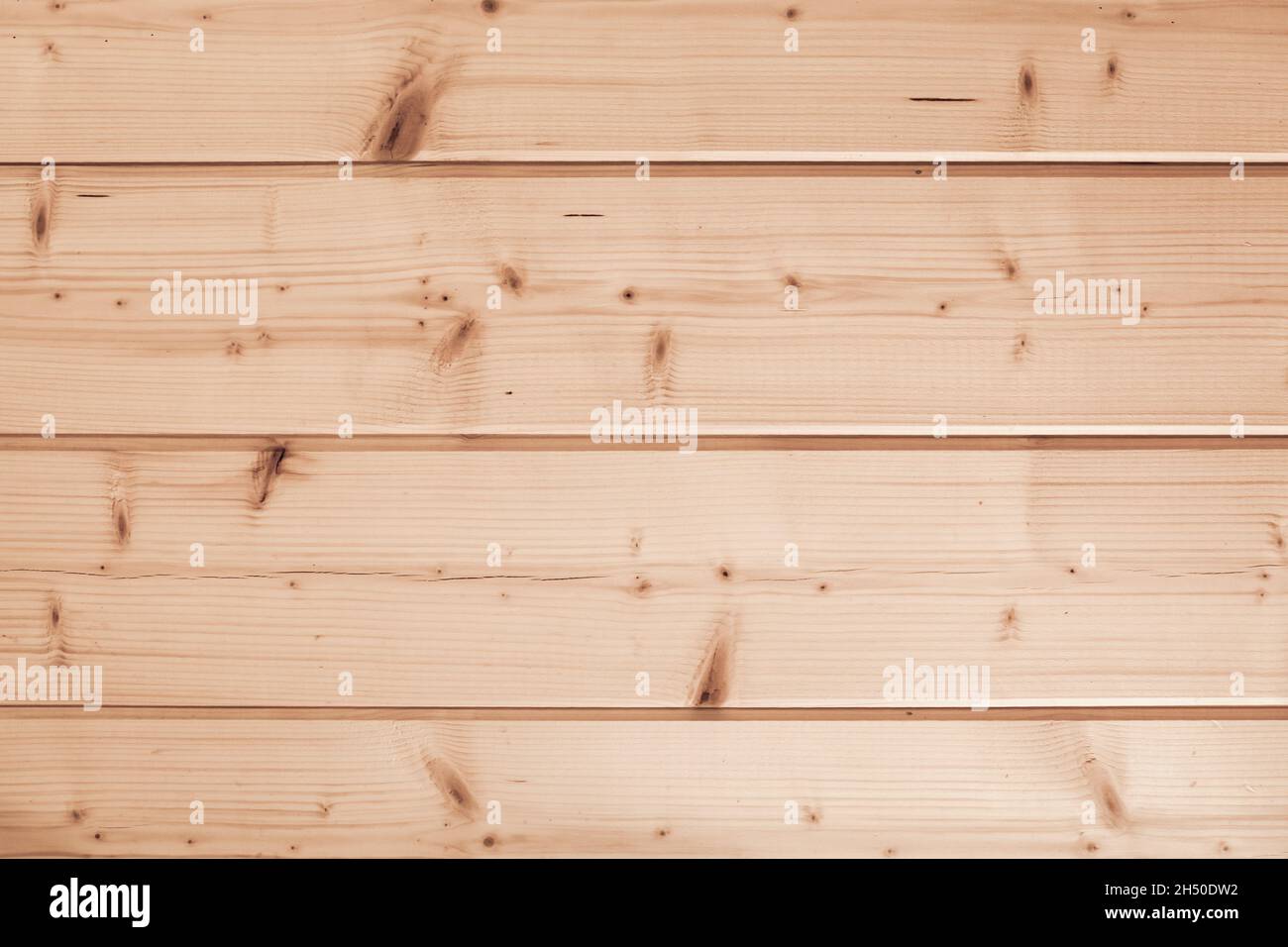 Natürliche, unfarbige Holzwand aus Kiefernholzplatten, Vorderansicht, Hintergrundfotostruktur Stockfoto