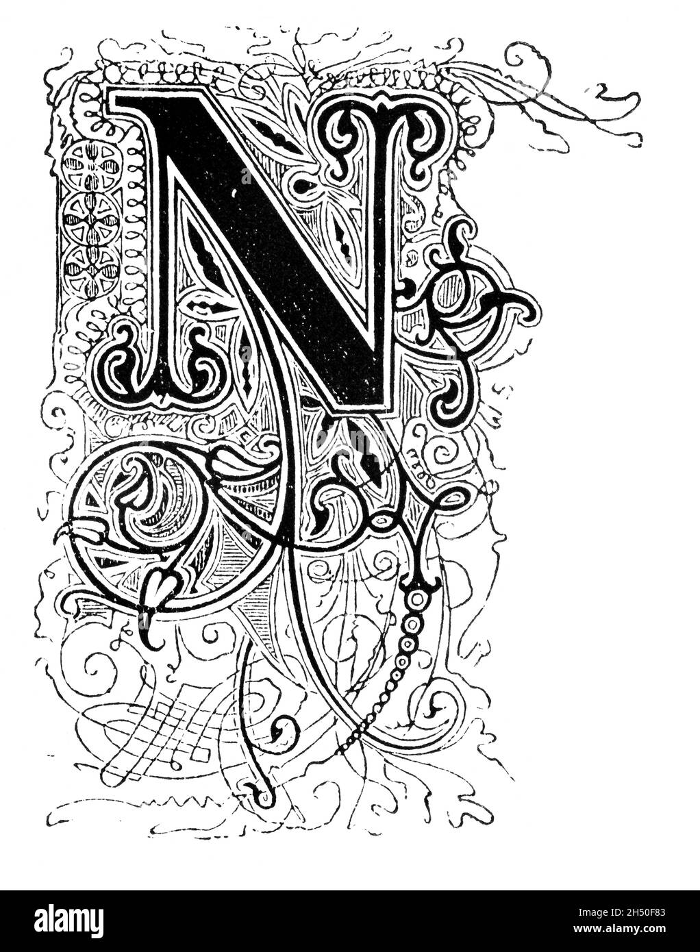 Großer dekorativer verzierter Buchstabe N, mit Blumenverzierung oder Ornament. Antike Vintage-Zeichnung Stockfoto