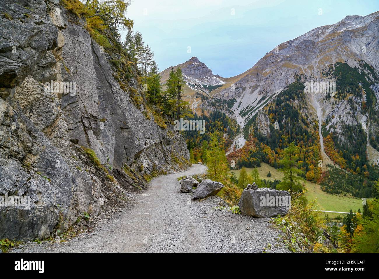 Bäume mit strahlendem Herbstlaub im hellen Sonnenlicht auf der Alp namens Grosser Ahornboden im Karwendelgebirge in Tirol in Österreich Stockfoto