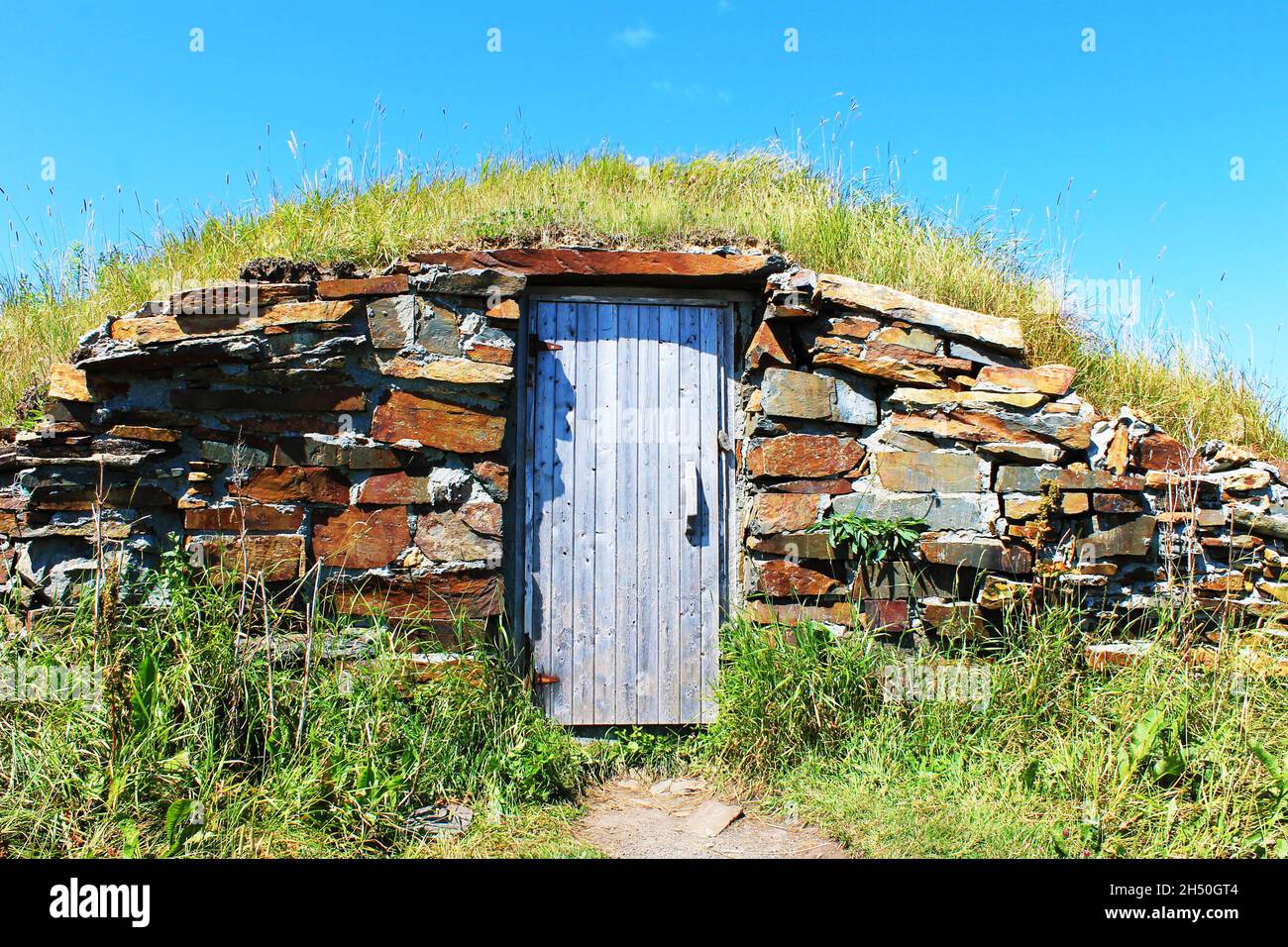 Alter Steinwurzelkeller mit Holztür, Elliston, Neufundland. Stockfoto