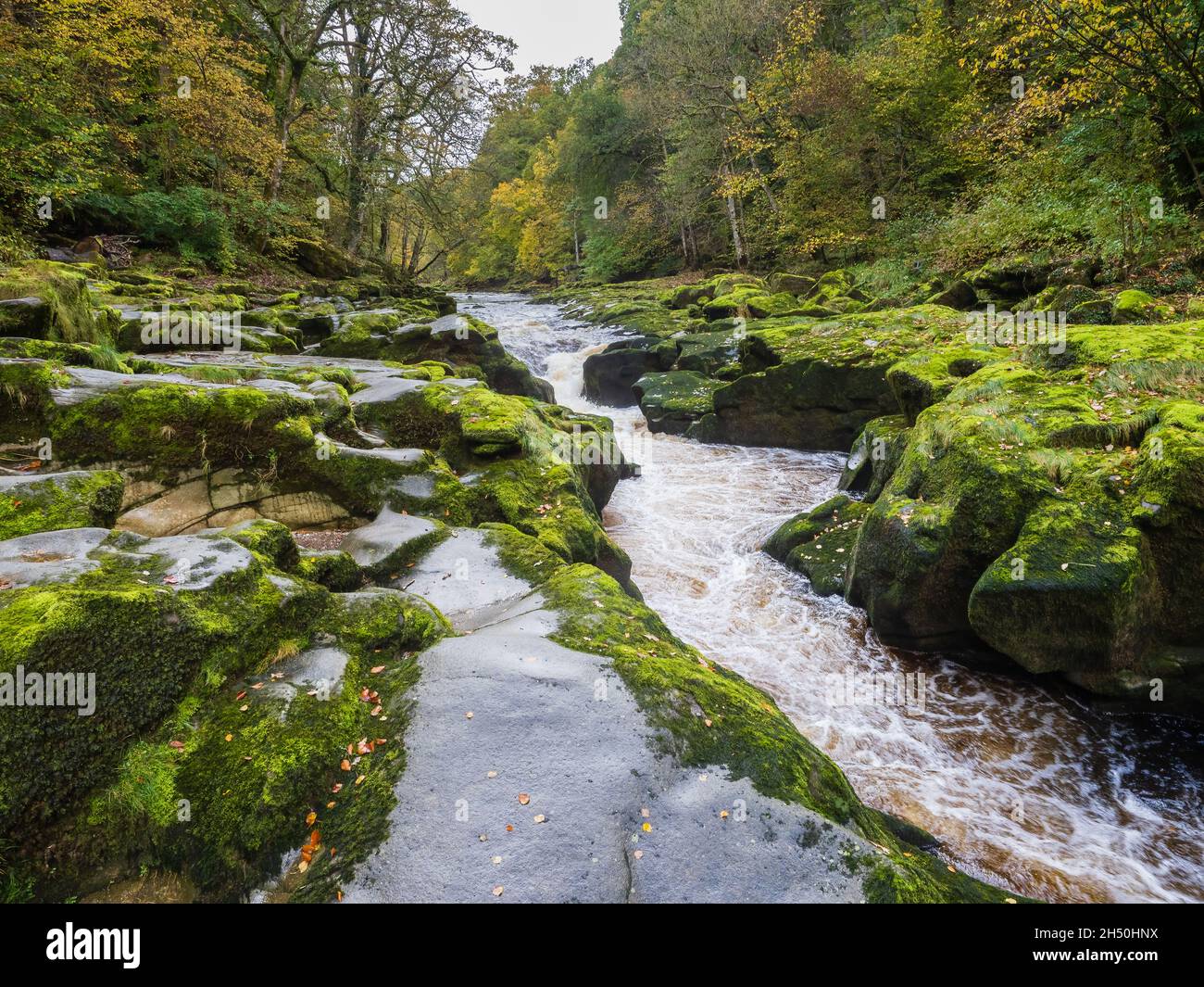 Der Strid wurde durch das Tragen von weicheren Felsen durch die kreisförmige Bewegung von kleinen Steinen in Hohlräumen gebildet. Der Strid befindet sich im Herzen von Strid wo Stockfoto