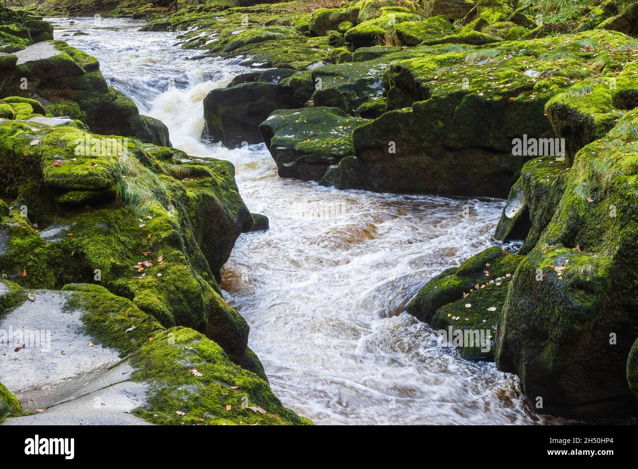 Der Strid wurde durch das Tragen von weicheren Felsen durch die kreisförmige Bewegung von kleinen Steinen in Hohlräumen gebildet. Der Strid befindet sich im Herzen von Strid wo Stockfoto