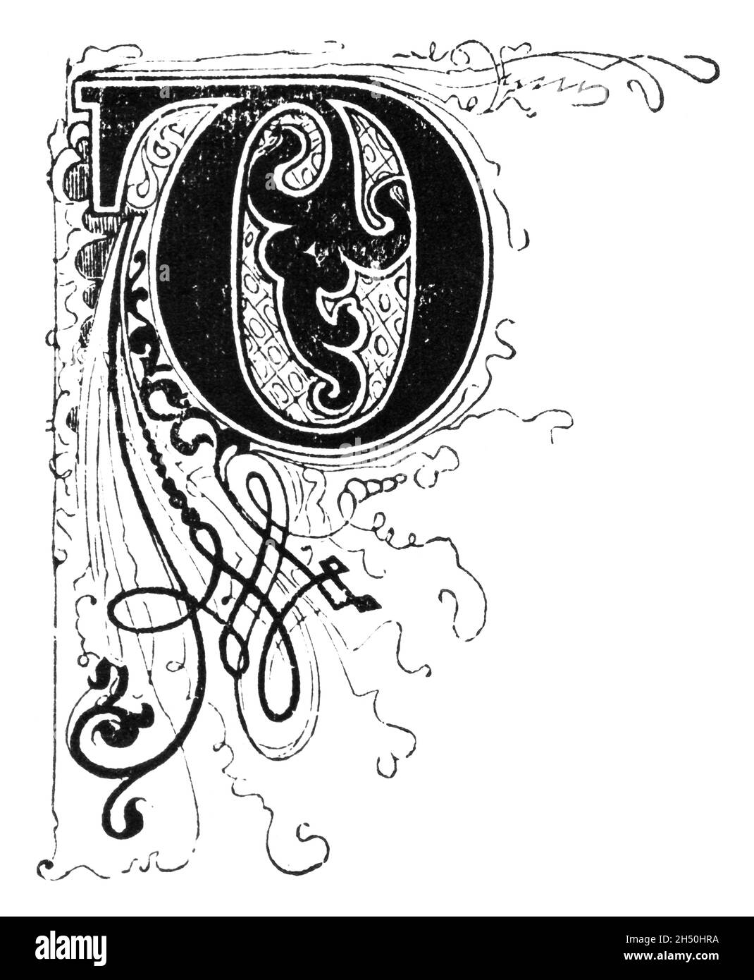 Großer dekorativer verzierter Buchstabe D, mit Blumenverzierung oder Ornament. Antike Vintage-Zeichnung Stockfoto