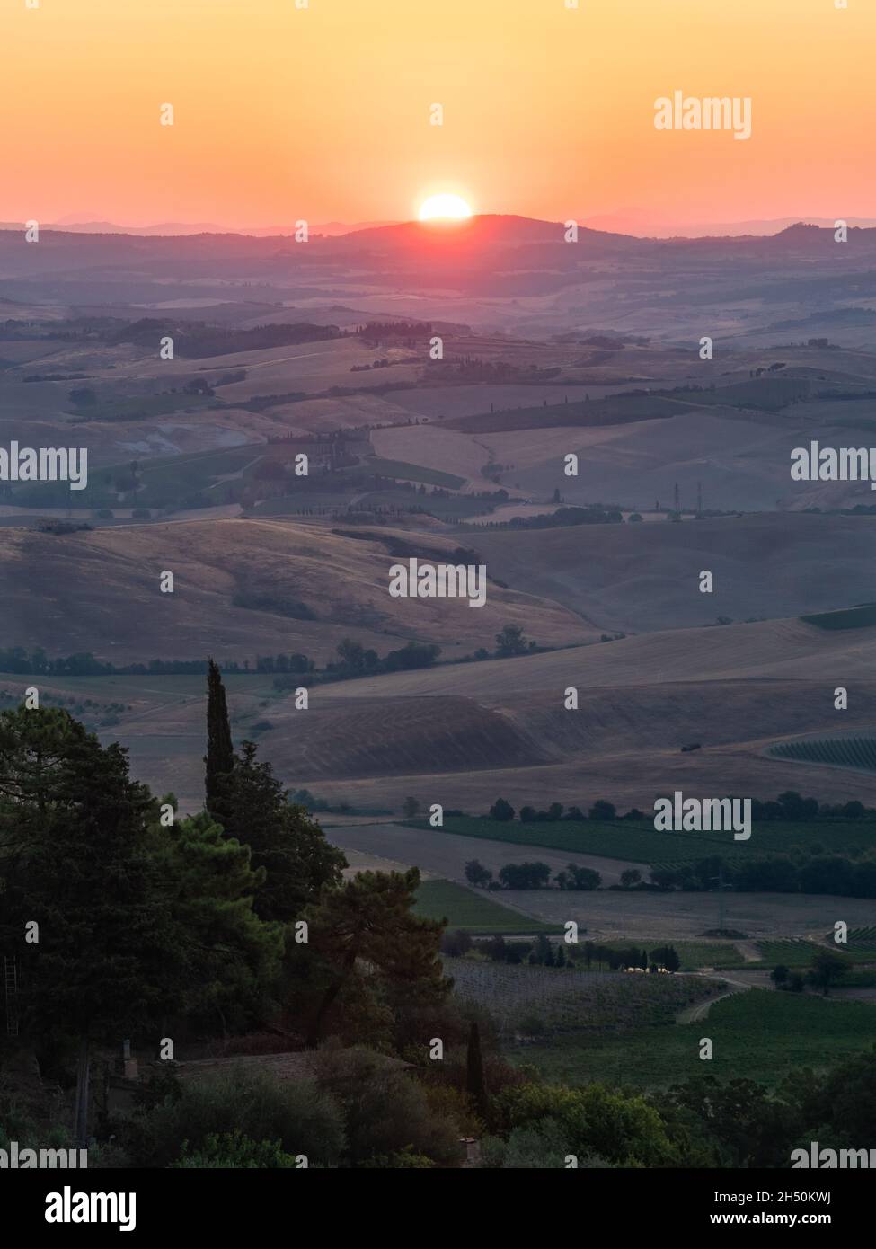 Sonnenaufgang in den Hügeln von Montalcino, Toskana, in der Region Crete Senesi, Vertikale Ausrichtung Stockfoto