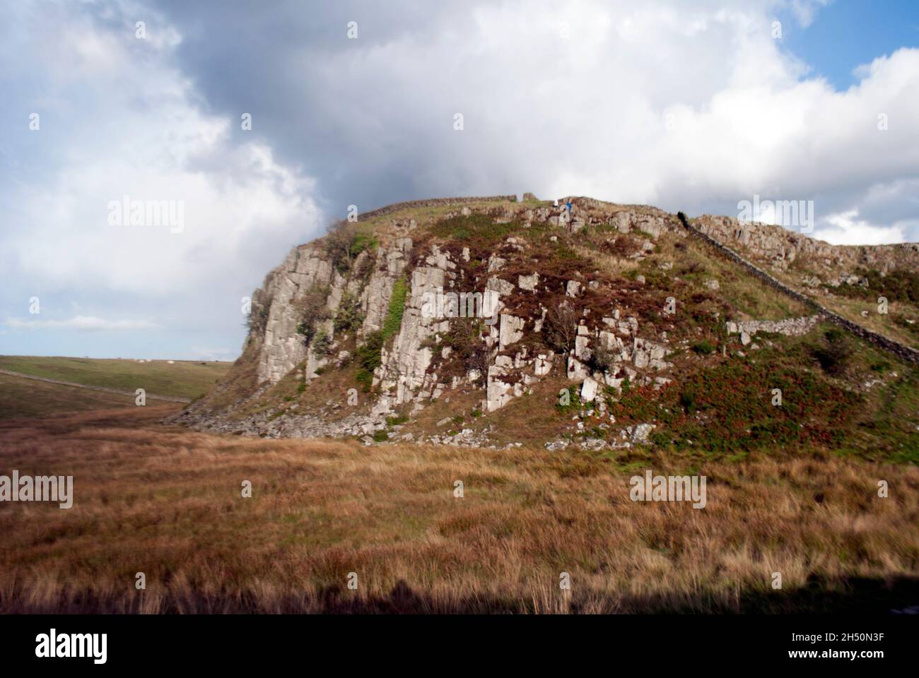 Hadrians Mauer, die über einen Felsen in der Nähe von Sycamore Gap und Steel Rigg an der Hadrianmauer, Northumberland, England, Großbritannien, führt Stockfoto