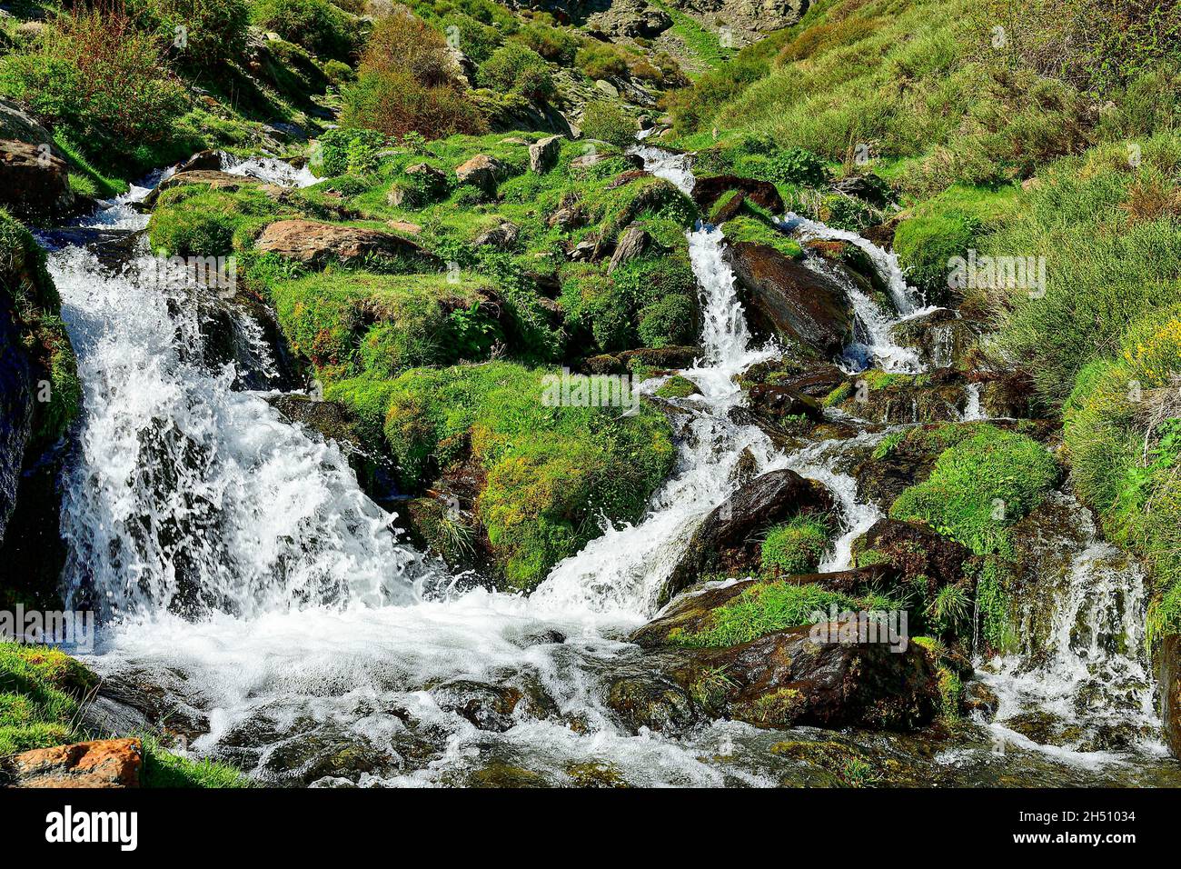 Landschaften des Innern von Granada - Andalusien - Spanien Stockfoto