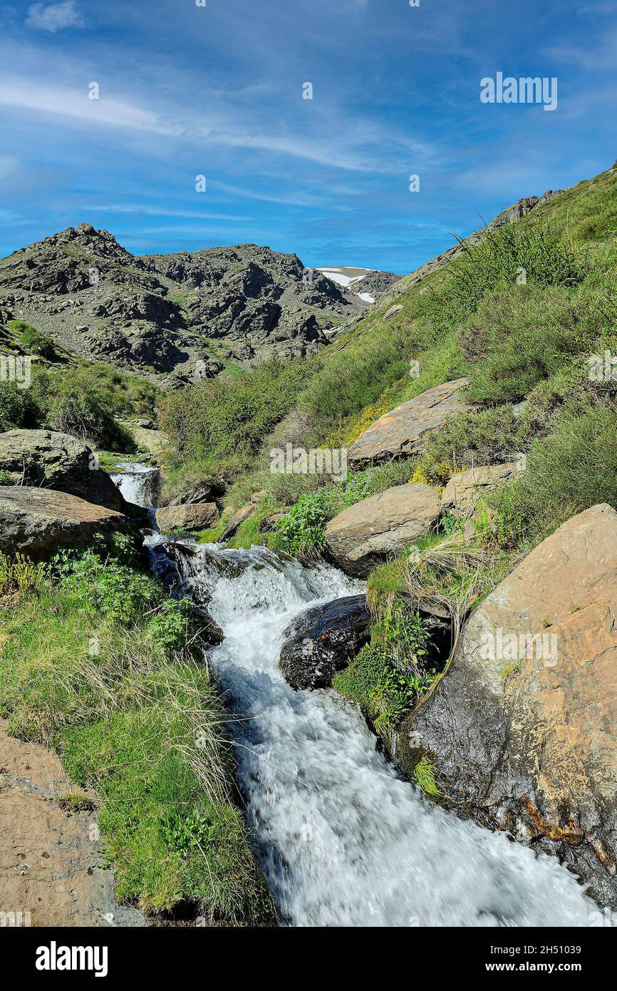 Landschaften des Innern von Granada - Andalusien - Spanien Stockfoto