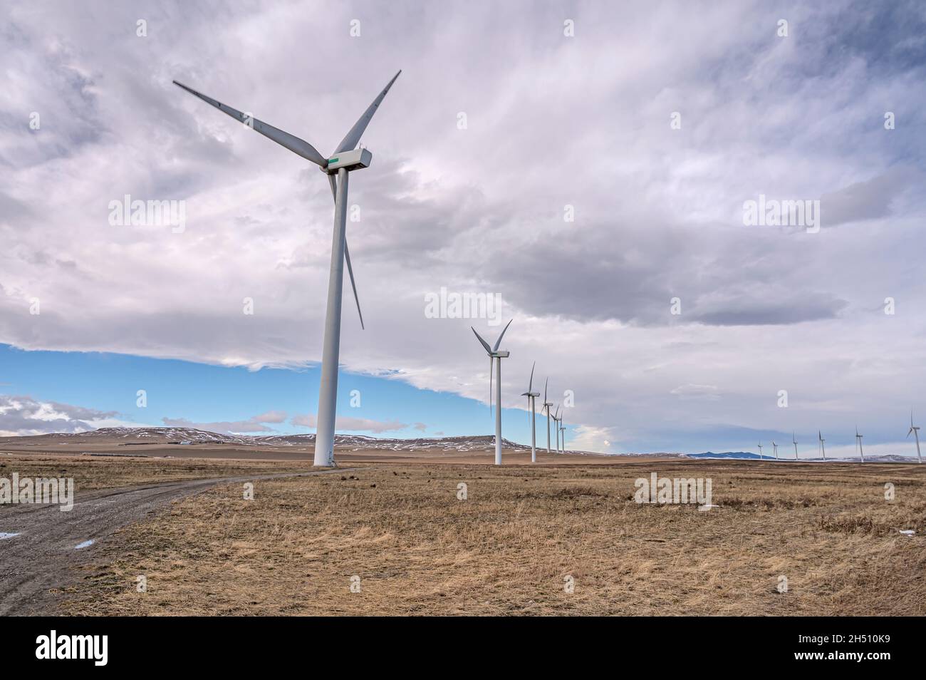 Windmühlen zur Stromerzeugung in den Ausläufern der Rocky Mountains in der Nähe von Fort Macleod, Alberta, Kanada Stockfoto