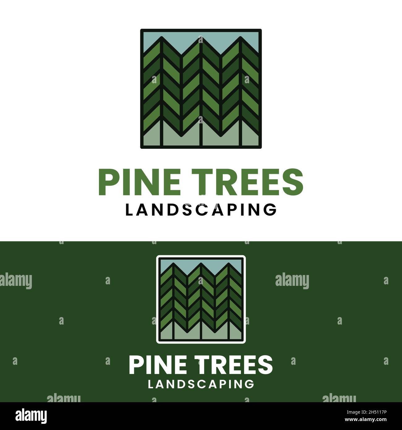 Farbige Linie Linear Pine Pinus Evergreen Fir Zypresse Nadelbaum Fichte Hemlock Lärche Zedernbaum Forest Camp Outdoor-Abenteuer Vintage Hipster. Stock Vektor