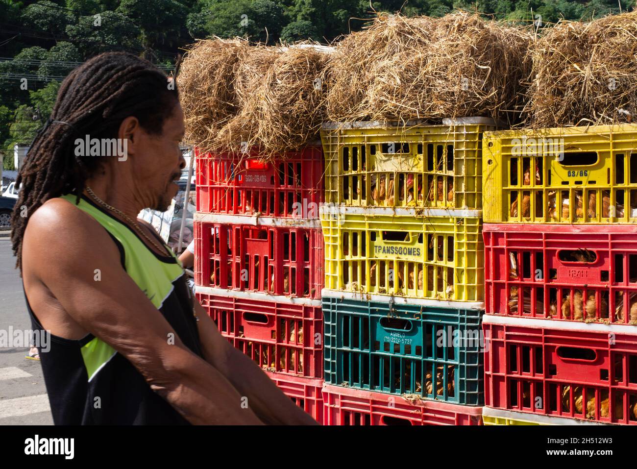 Gesunde und bunte Früchte zum Verkauf auf der Messe Sao Joaquim. Salvador, Bahia, Brasilien. Stockfoto