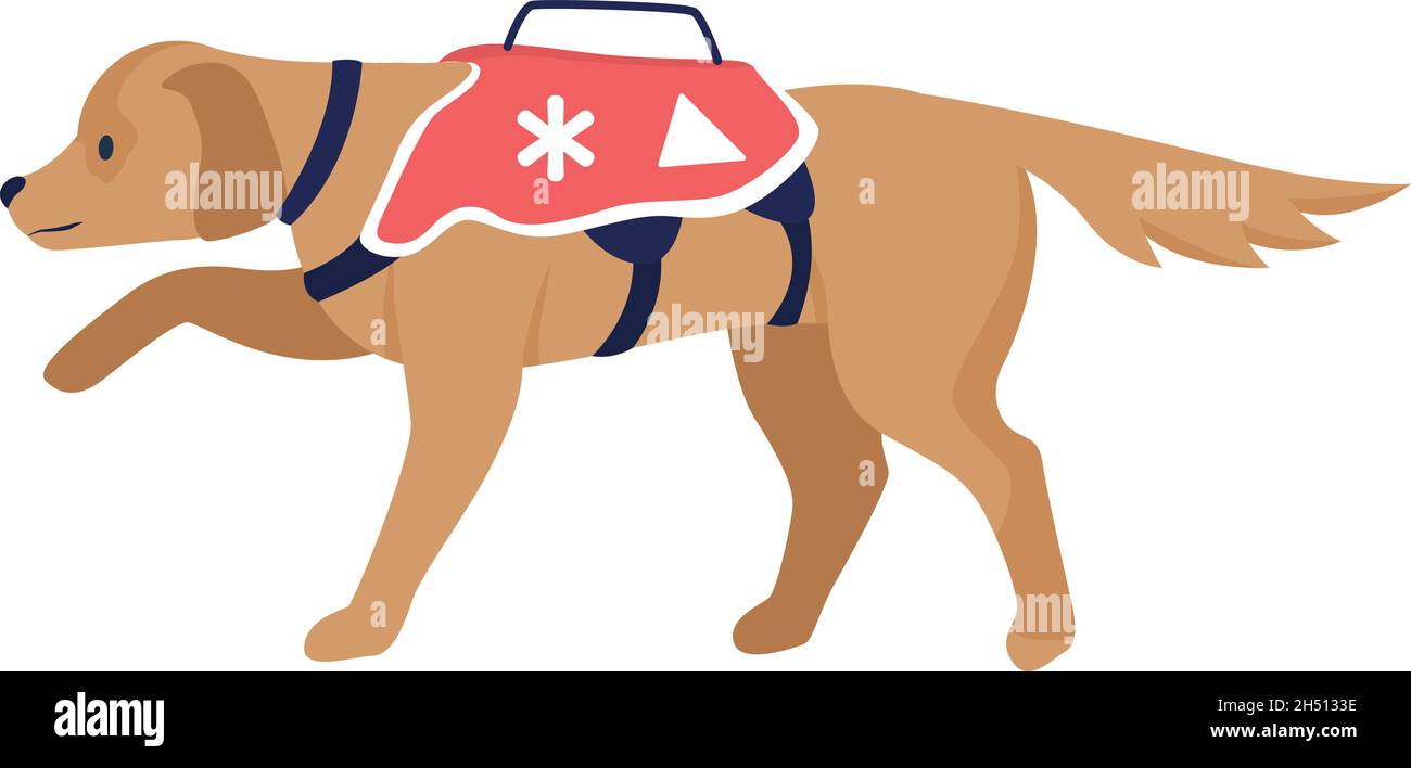 Lawinenrettung Hund semi flach Farbe Vektor-Charakter Stock Vektor