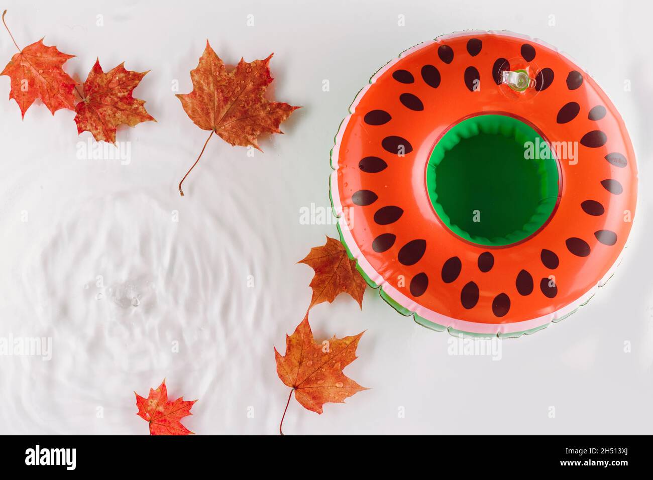 Auf Wiedersehen, Sommer Hintergrund. Wassermelone-Rettungsring in einem Schwimmbad mit herbstlichen Ahornblättern auf einer Oberfläche. Speicherplatz kopieren Stockfoto