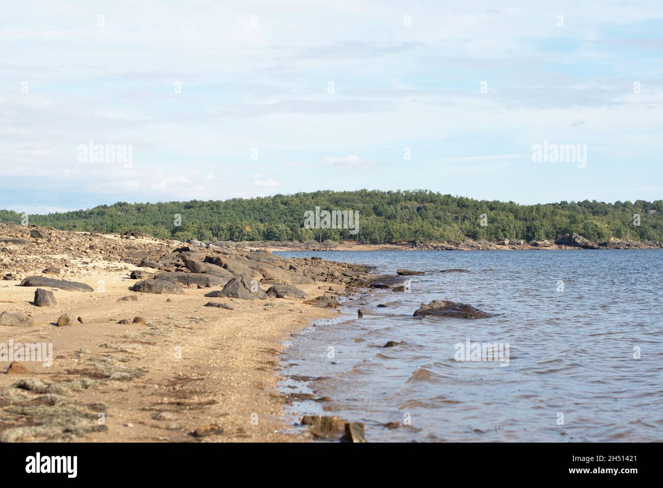 Cuerda del Pozo Stausee, Ufer voller Felsen und Wasser. Im Hintergrund Kiefernwald. Vinuesa, Provinz Soria, Spanien. Stockfoto