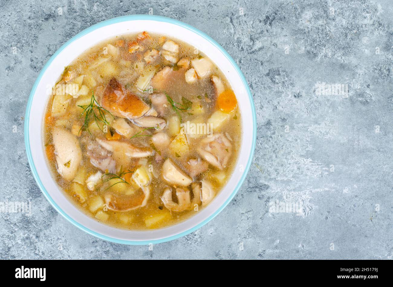 Köstliche hausgemachte Suppe mit Wildpilzen. Studio Photo Stockfoto