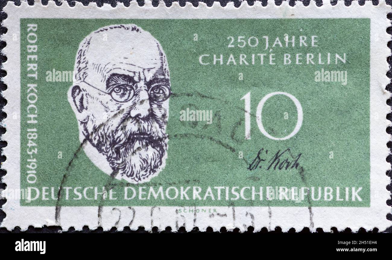 DEUTSCHLAND, DDR - UM 1960 : eine Briefmarke aus Deutschland, DDR mit einem Porträt des Bakteriologen Robert Koch. 250 Jahre Charité, Berlin Stockfoto