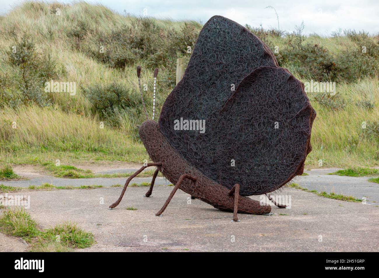Die riesige Schmetterlingsskulptur aus Bronze und Kupferdraht am Spurn Point als Teil eines Naturpfades an der Küste Stockfoto