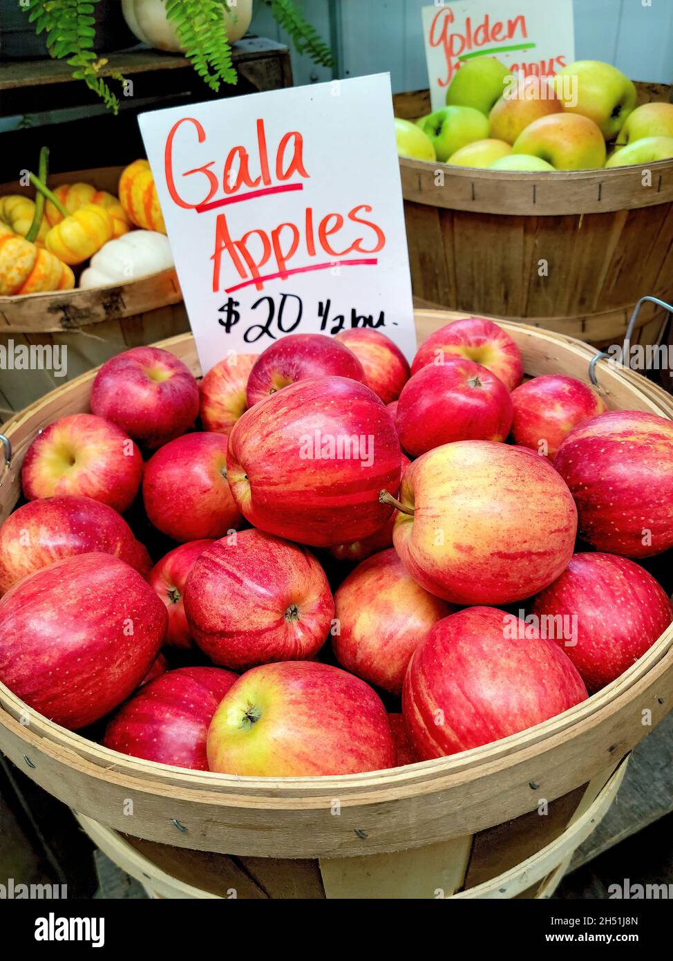 Michigan rote Äpfel in einem Buschelkorb auf dem Bauernmarkt mit Preisschild Stockfoto