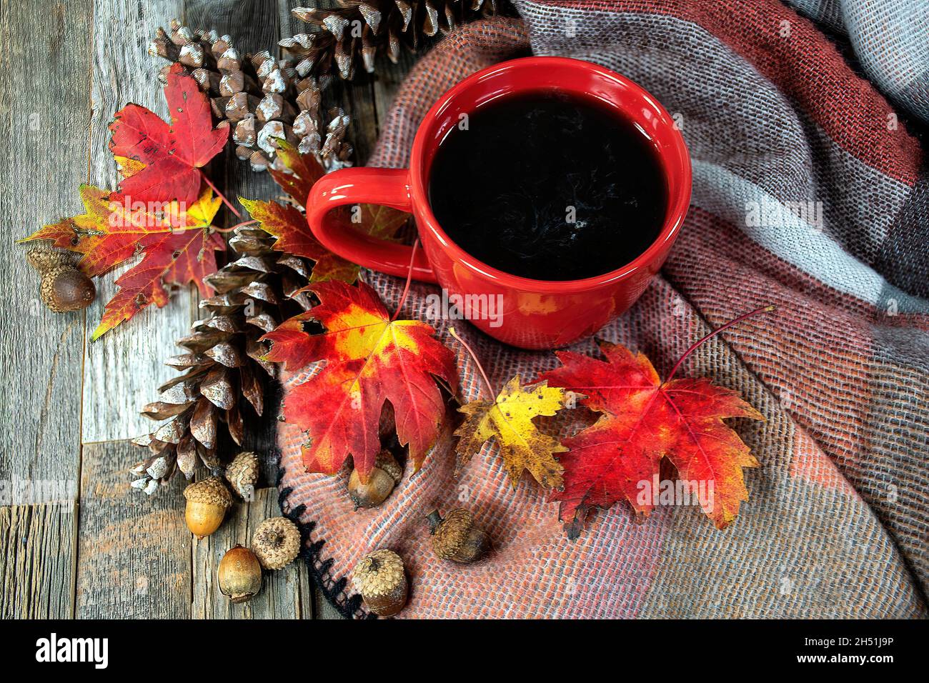 Schwarzer Kaffee in rotem Becher mit herbstlichen Ahornblättern, Tannenzapfen und Eicheln auf warmer Decke. Stockfoto