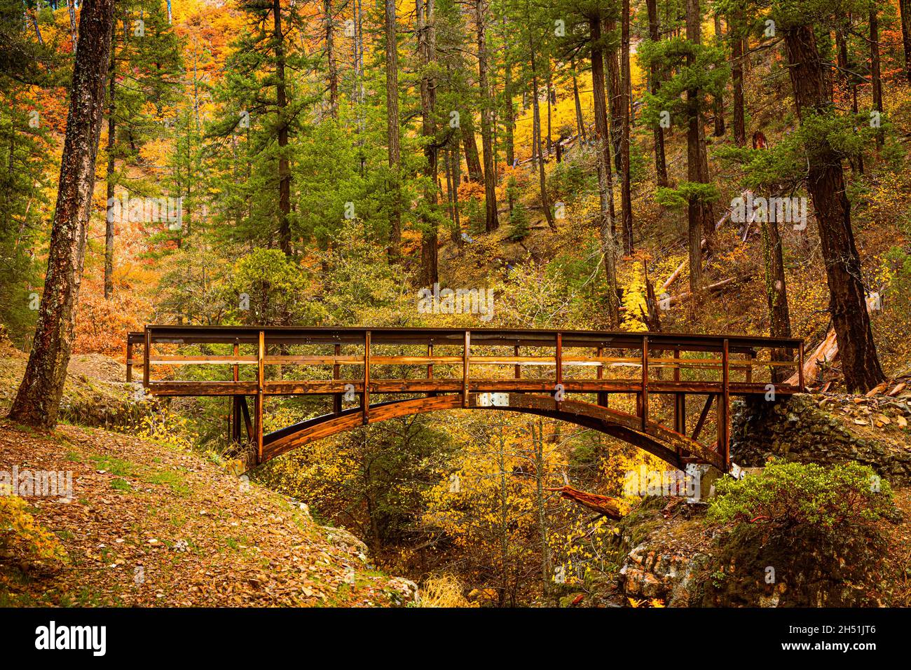 Holzbrücke auf dem Pacific Crest Trail. Die Brücke kreuzt den Squaw Valley Creek in Siskiyou County, Kalifornien, USA. Stockfoto