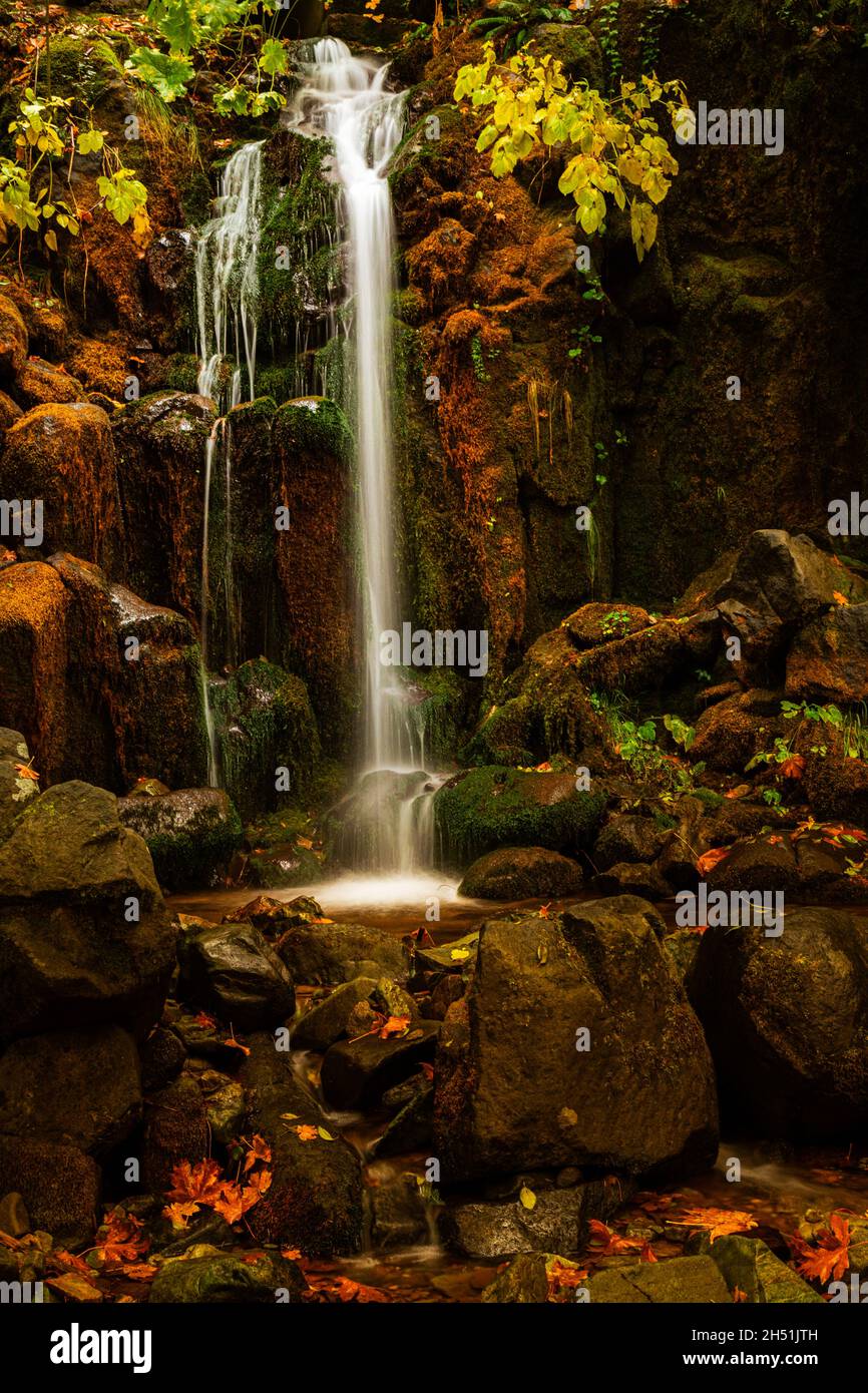 Sweetbriar Falls im Northern Shasta County, Kalifornien, USA, fotografiert an einem regnerischen Herbsttag. Stockfoto