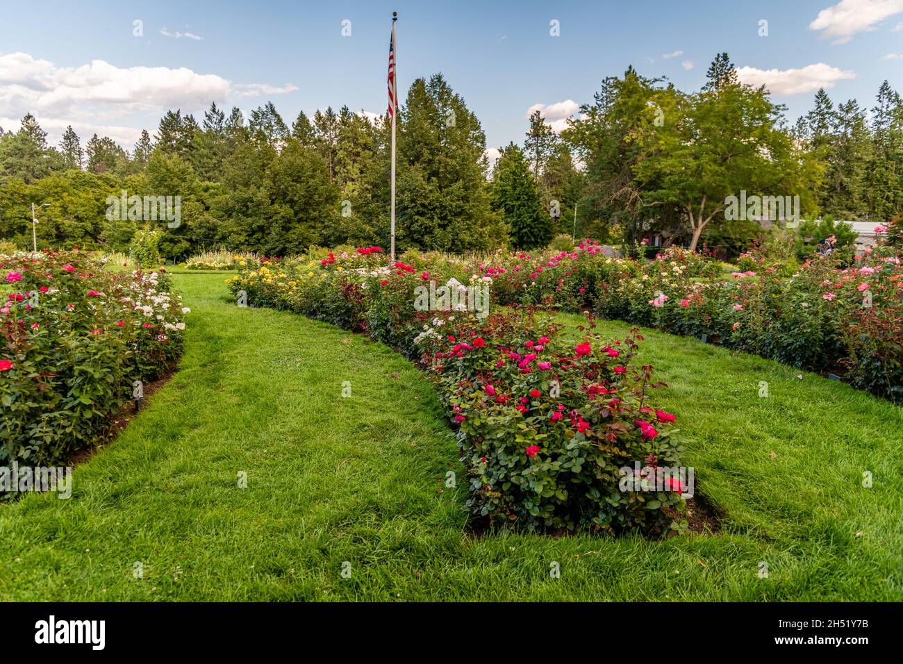 Rose Garden im Manito Park Stockfoto